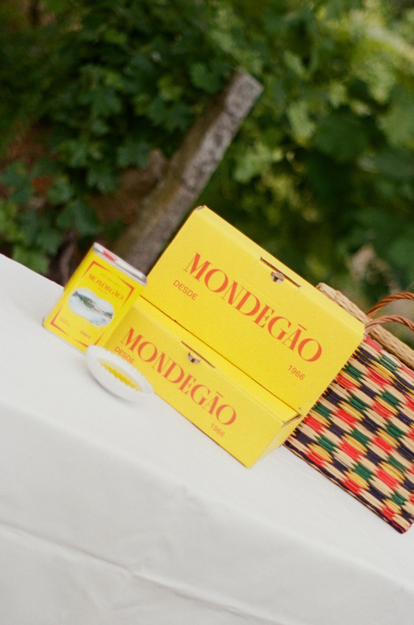 Summer Box: Mondegão 500ml Tin + T-Shirt