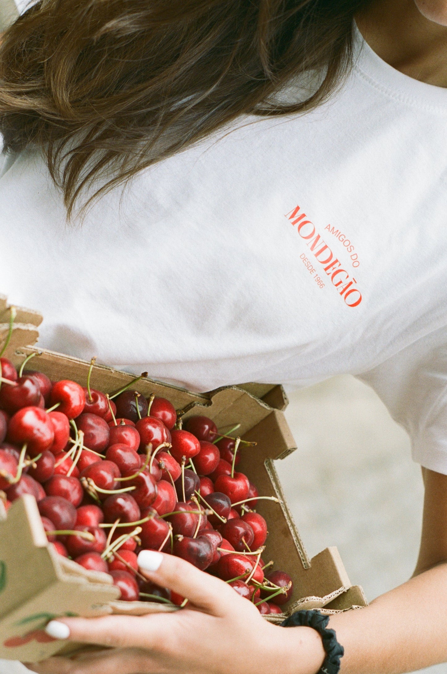 Summer Box: Mondegão 500ml Tin + T-Shirt
